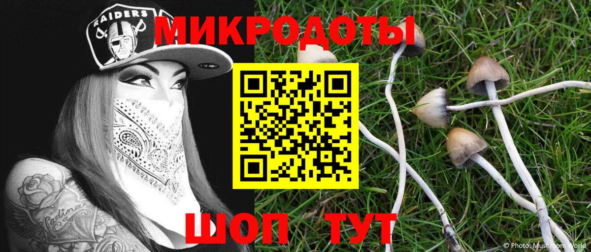 Галлюциногенные грибы MAGIC MUSHROOMS Алейск